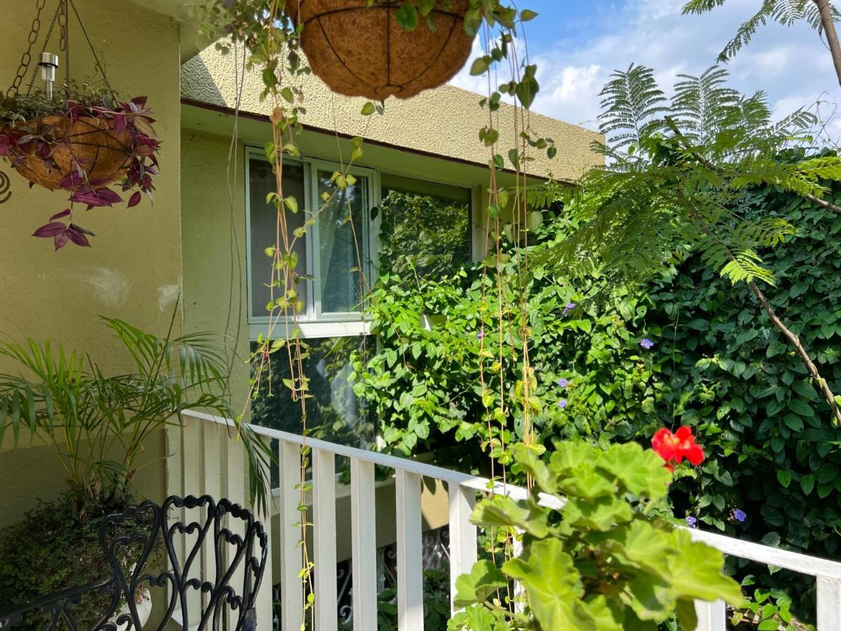 Dickinson Guest House Guadalajara Extérieur photo
