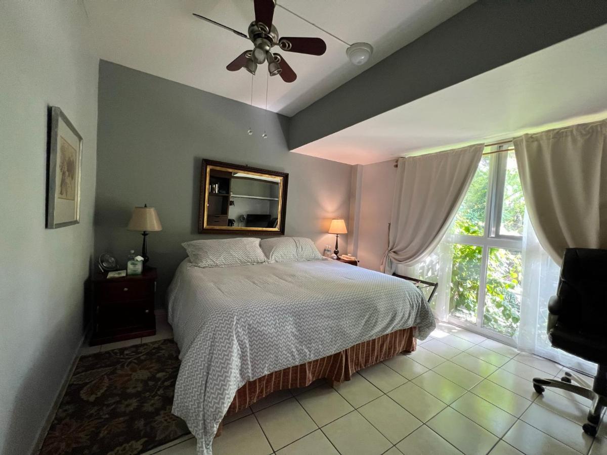 Dickinson Guest House Guadalajara Extérieur photo