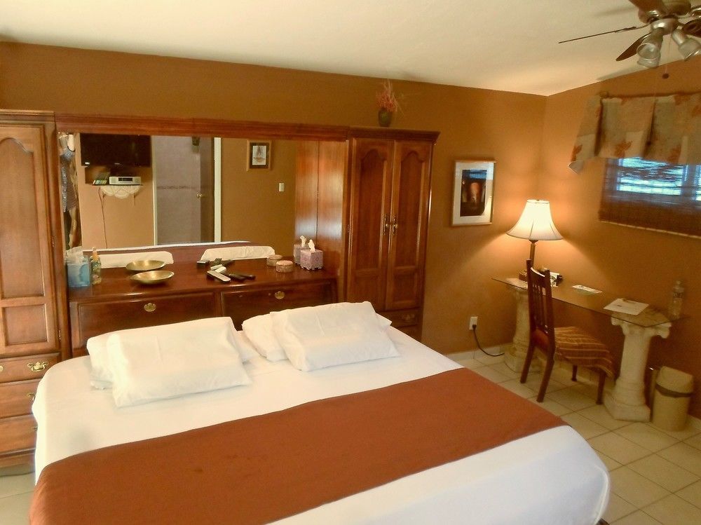 Dickinson Guest House Guadalajara Extérieur photo